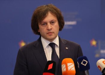 Gürcüstanın Baş naziri: ABŞ-dən cavab addımları gözləyirik