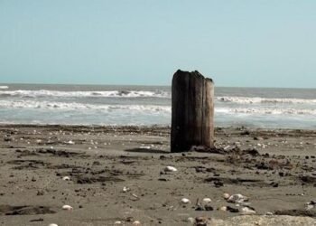 Xəzər dənizi niyə quruyur? – Rusiyadan açıqlama gəldi