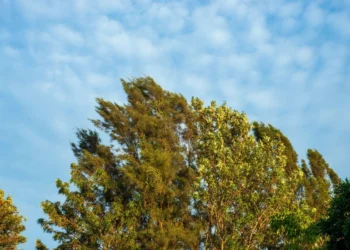 Oktyabrın ilk günü hava yağıntılı və küləkli olacaq