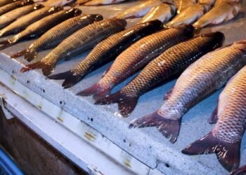 Balıq alanda aldanmayın – Satıcıların gizli FIRILDAĞI