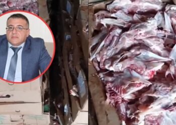 Kolbasa istehsalında təhlükəli ətlər – Mütəxəssis: “Bunu heç heyvana da vermək olmaz”