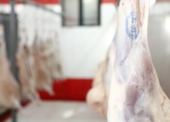 Ət bazarlarında son vəziyyət necədir? – VİDEO