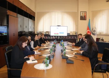 Səbinə Əliyeva Ukrayna Ombudsmanı ilə görüşüb