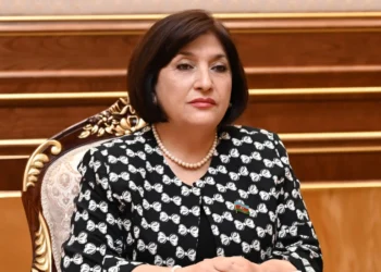 Sahibə Qafarova: Azərbaycanla Xorvatiya arasında qarşılıqlı ticarət göstəriciləri yüksəkdir