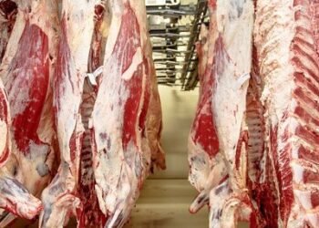 Sosial şəbəkələrdə satılan ucuz ət hardan gəlir? – Qiyməti 12 manatdır