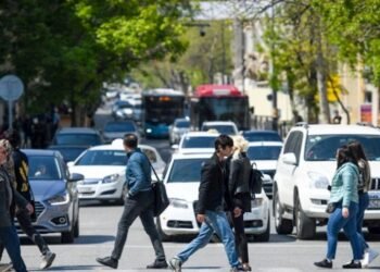 DYP piyadalara müraciət etdi