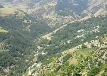 İki bölgəmizdə təhlükəli xəstəlik sürətlə yayılır: karantin gündəmdə – Rəsmi açıqlama