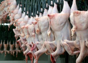 Bəzi ölkələrdən Azərbaycana quş əti gətirilməsinə qadağa qoyuldu