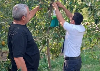 Azərbaycanın həmsərhəd bölgələrində zərərvericilərin geniş yayılmasının səbəbi açıqlanıb – RƏSMİ