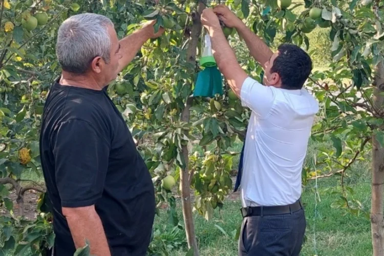 Azərbaycanın həmsərhəd bölgələrində zərərvericilərin geniş yayılmasının səbəbi açıqlanıb – RƏSMİ