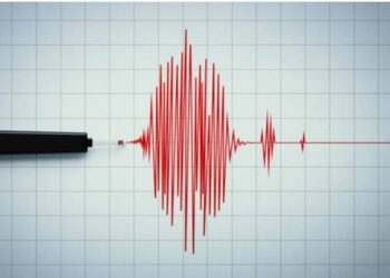 Bu ölkədə 7,4 bal gücündə zəlzələ oldu