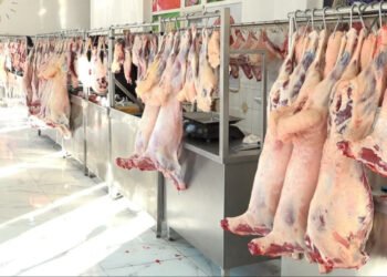 “Əgər bu olmasa, yerli məhsullar bazarda satışını təşkil edə bilməyəcək”