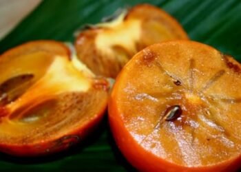 Hansı insanlara xırnik yemək olmaz? – Rusiyalı həkim izah edir