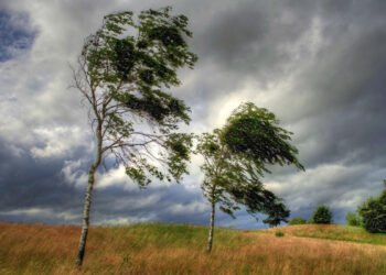 Külək əsəcək, yağış yağacaq – Sabahın havası