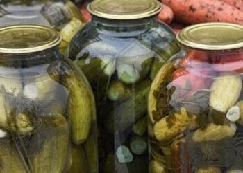 Turşudan sonra bu əlamətlər yaransa həkimə gedin, yoxsa…