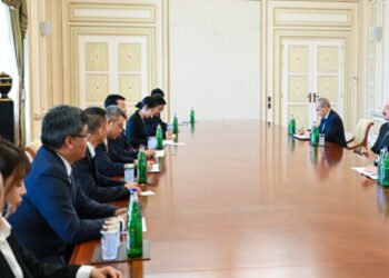 Prezident Çin şirkətinin nümayəndə heyətini qəbul etdi – FOTO