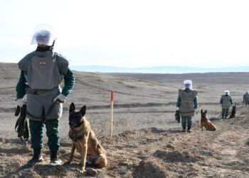 Bu qədər minadan təmizlənən ərazilərin sahəsi açıqlandı