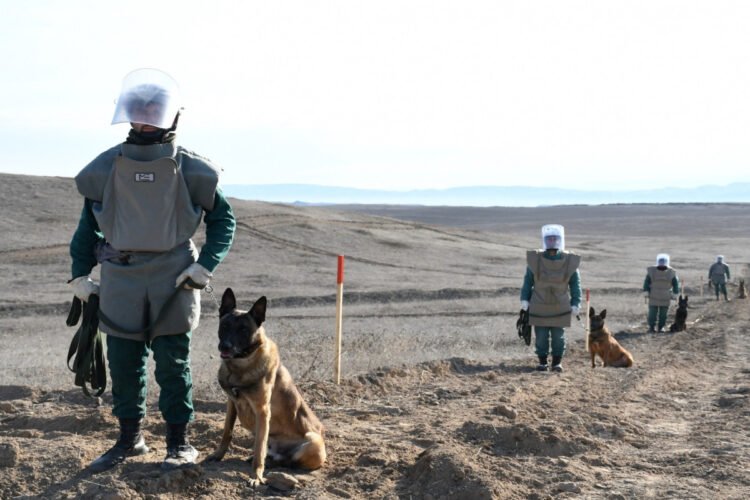 Bu qədər minadan təmizlənən ərazilərin sahəsi açıqlandı