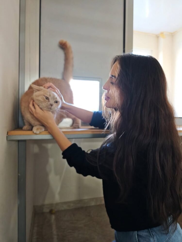 Leyla Əliyeva IDEA Heyvanlara Qayğı Mərkəzində – FOTOLAR
