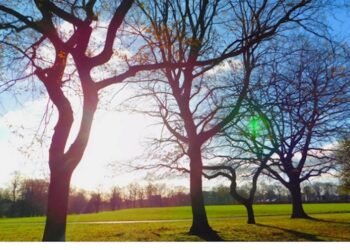 Dekabrda hava necə olacaq? — Aylıq proqnoz