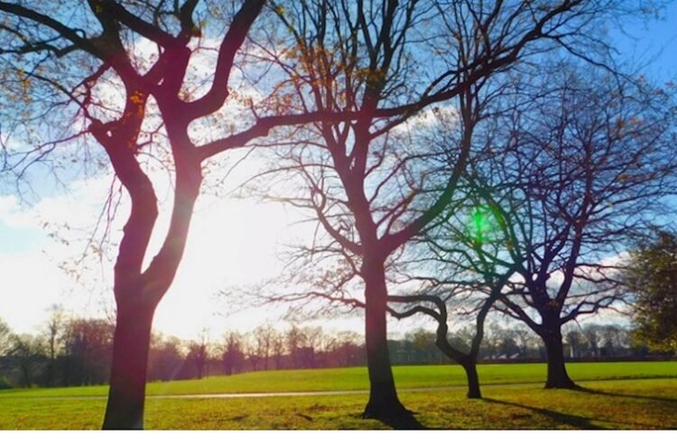 Dekabrda hava necə olacaq? — Aylıq proqnoz
