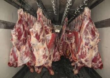 Bərdədə at əti satanlar saxlanıldı – FOTOLAR