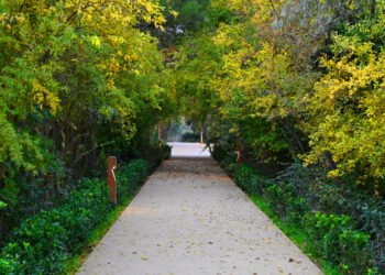 Noyabrın isti günləri nə vaxtadək davam edəcək?