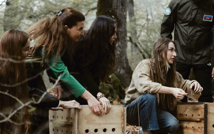 Leyla, Arzu və Alena Əliyevalar Lənkəranda… – FOTOLAR