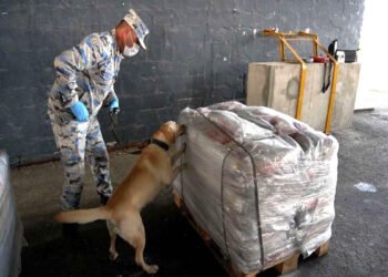 İrandan Estoniyaya aparılan heroin belə aşkarlandı