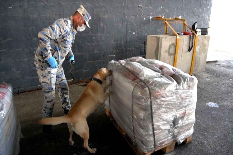 İrandan Estoniyaya aparılan heroin belə aşkarlandı