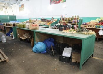 Bu bazarda nöqsanlar aşkarlandı – FOTOLAR