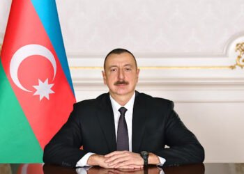 İlham Əliyev təyyarə qəzası ilə əlaqədar Türkiyə Prezidentinə başsağlığı verib