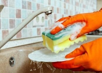 Amerikalılar qab süngərindən istifadə etmirlər: Səbəbi