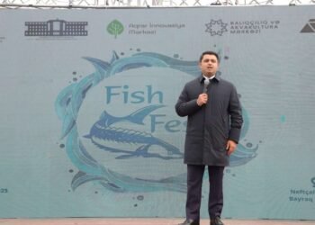 İcra başçısı plaşının qiymətini açıqladı – VİDEO