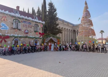 Leyla Əliyevanın təşəbbüsü ilə Yevlaxda uşaqlar üçün Yeni il tədbiri keçirildi – FOTOLAR