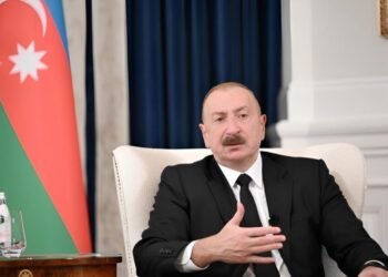 O maddələrin müəllifi mənəm – Prezident