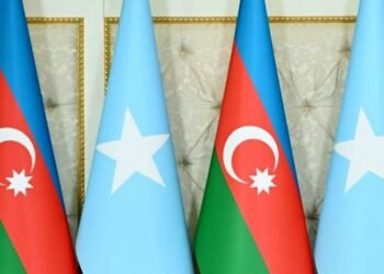 Somali Azərbaycana təşəkkür etdi