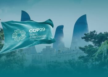 Azərbaycan COP29-la bağlı təcrübəsini Türkiyə ilə bölüşəcək