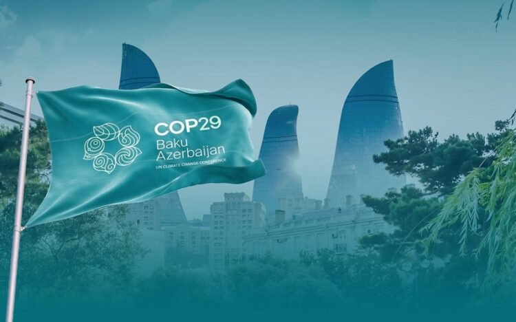 Azərbaycan COP29-la bağlı təcrübəsini Türkiyə ilə bölüşəcək