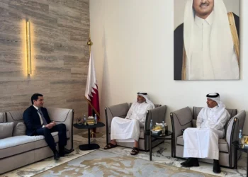 Hikmət Hacıyev Məhəmməd bin Əhməd əl-Misnəd ilə görüşdü – FOTO