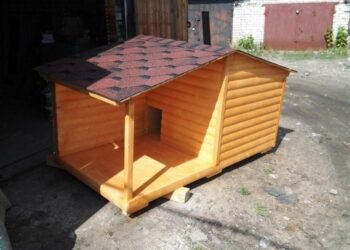 Öldürdüyü şəxsin qəbrinin üstündə it damı tikdi