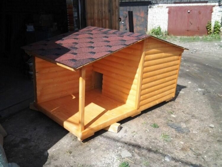 Öldürdüyü şəxsin qəbrinin üstündə it damı tikdi