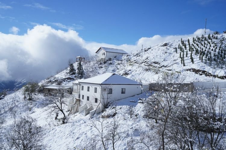 Laçından möhtəşəm görüntülər – Video