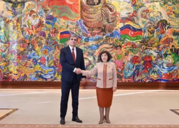 Sahibə Qafarova Monteneqro XİN rəhbəri ilə görüşdü