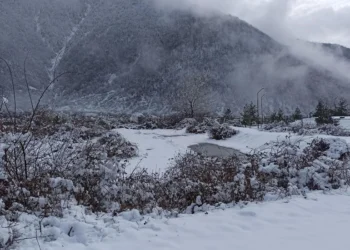 Zaqatalaya qar yağır – Faktiki hava