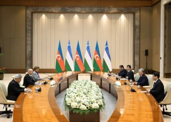 Pərviz Şahbazov Mirziyoyevlə müzakirə apardı – FOTOLAR