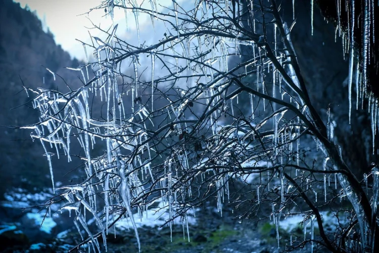 9 dərəcəyədək şaxta qeydə alındı – Faktiki hava