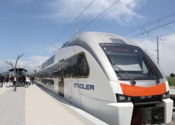 Sahibsiz heyvanlar səbəbindən 54 hadisə baş verib – ADY