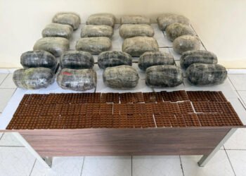 İrandan PUA ilə narkotik keçirilməsinin qarşısı alındı – FOTOLAR