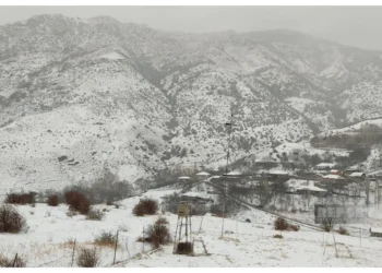 Ordubada 25 sm qar yağdı – FOTO